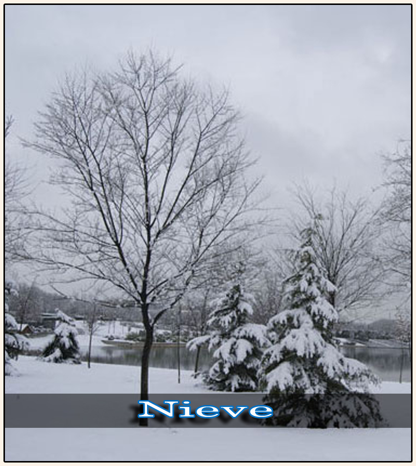 Nevada 2006